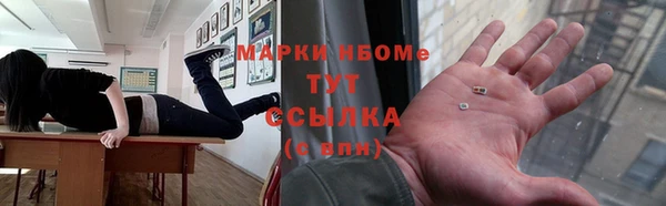 стаф Пересвет