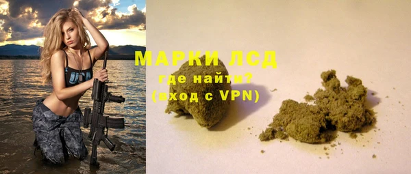 прущий лед Алзамай